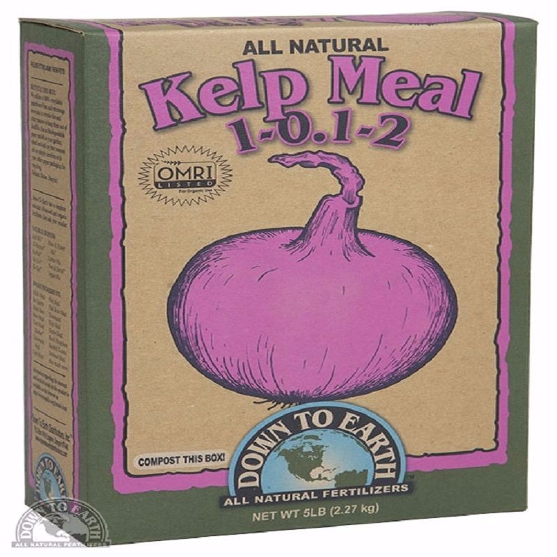 Photo of Kelp Meal 1-0.1-2