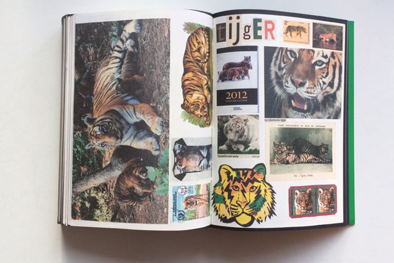 Animal Books For Jaap Zeno Anna Julian Luca thumbnail 5