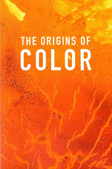 The Origins of Color with Raw Meat Collective