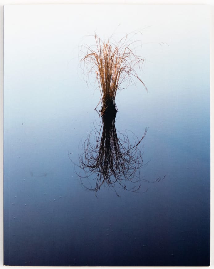 how lonely, to be a marsh