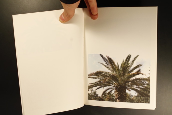 Twenty Palm Trees of Santa Cruz de Tenerife thumbnail 6
