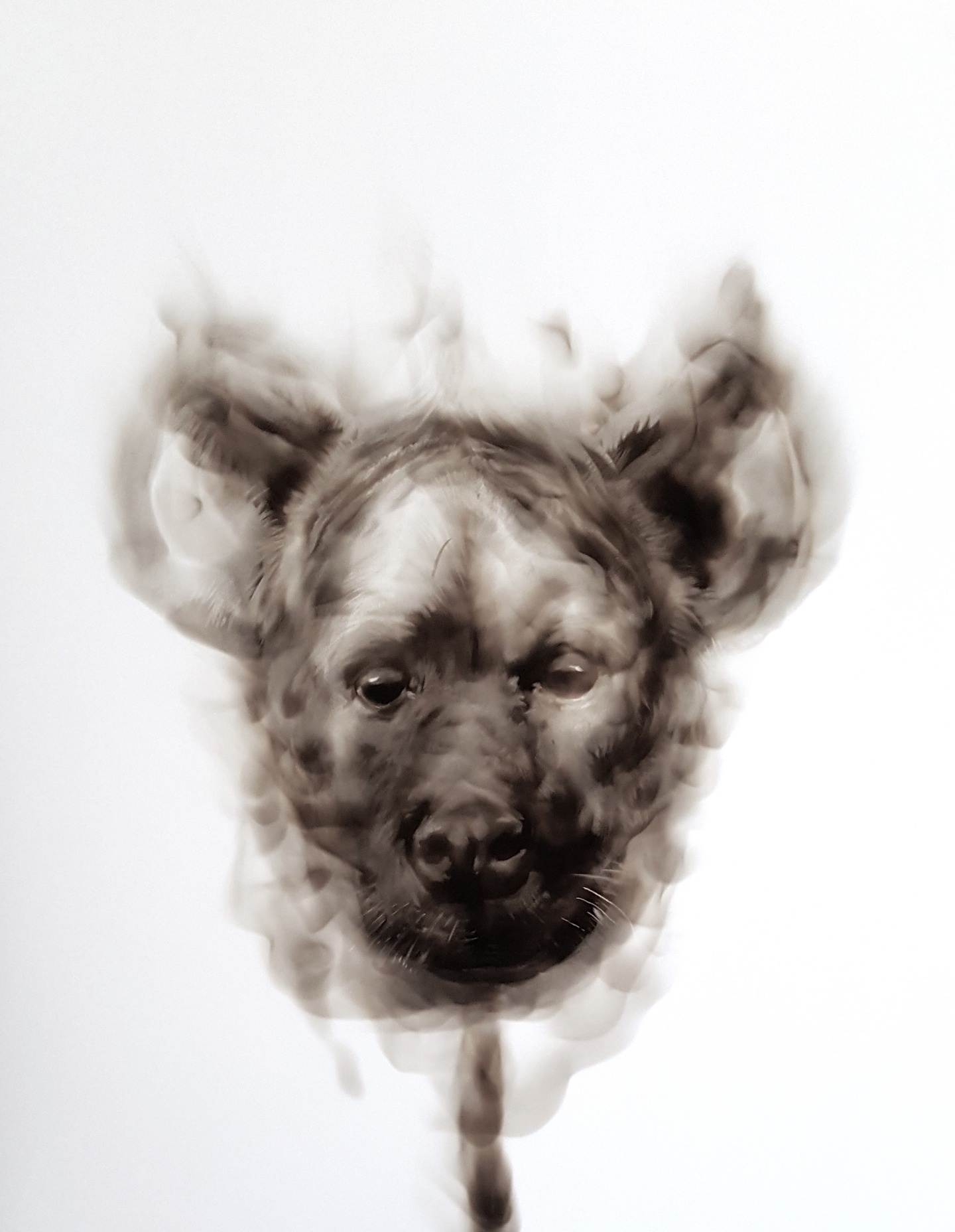 Smoky art on a white background of a hyena dog face 