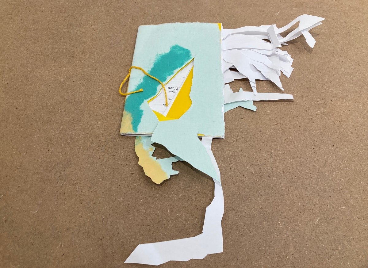 Cut Book (A Biomass Continuity : Coco Go Interactiv' with John Grande's Balance : Art & Nature) thumbnail 4