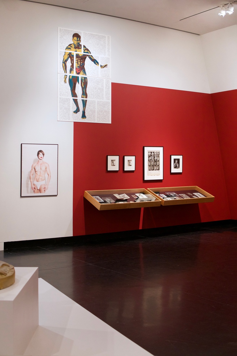 An assortment of framed artworks featuring muscular bodies and two glass cases filled with photographs hung on a white and red wall.