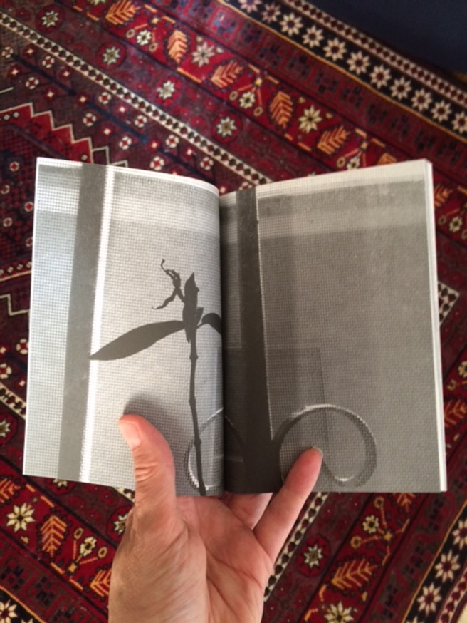 House Plant Music thumbnail 3