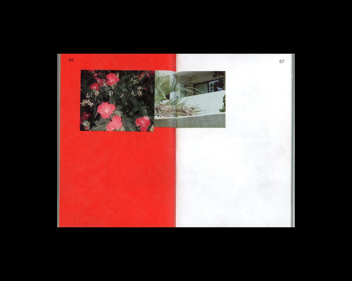 A photo of an open book, the left page red and the right page white, with a color photo laid across the center