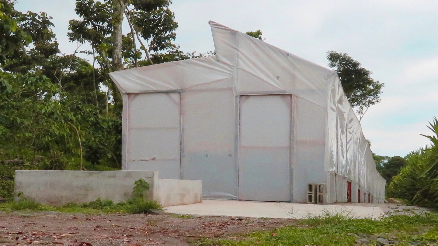 Exterior photo of a greenhouse-like building with a wooden beam structure encased in sheet plastic. There is an opening at the peak of the roof protected by an overhang.