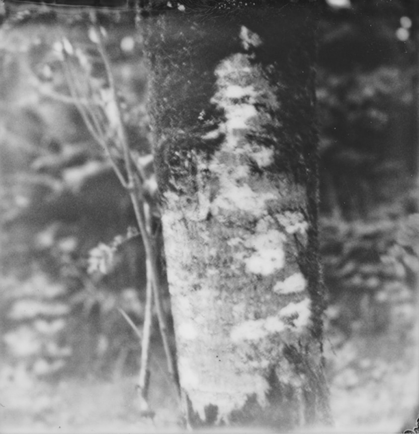 Push the Sky Away thumbnail 8