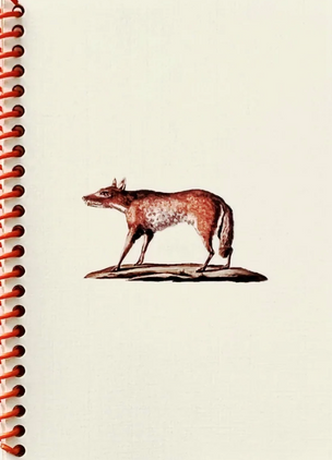 WIld Canids