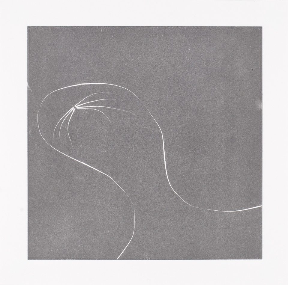 Image of abstract white line drawing on dark gray printed background