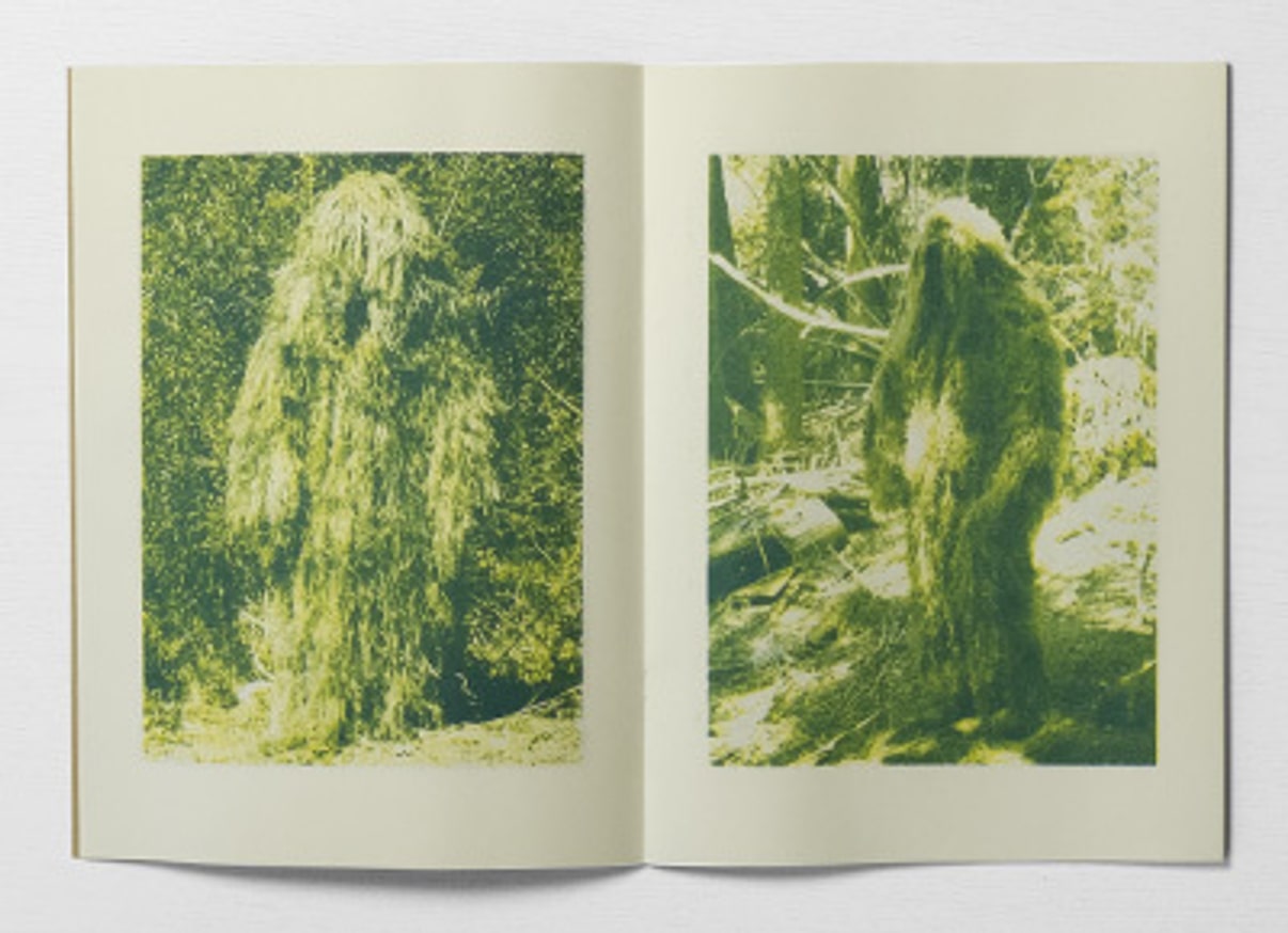 20 Walking Bushes thumbnail 2