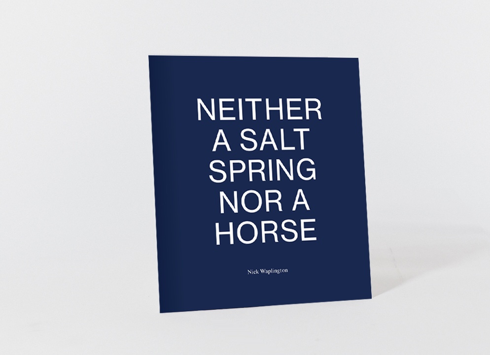 Neither a Salt Spring Nor a Horse thumbnail 2