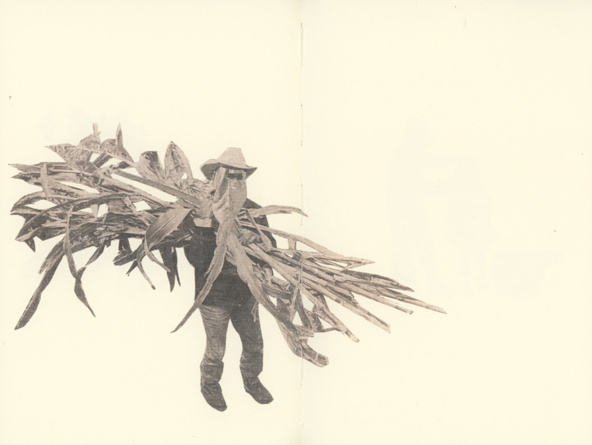 Primera Parte thumbnail 7