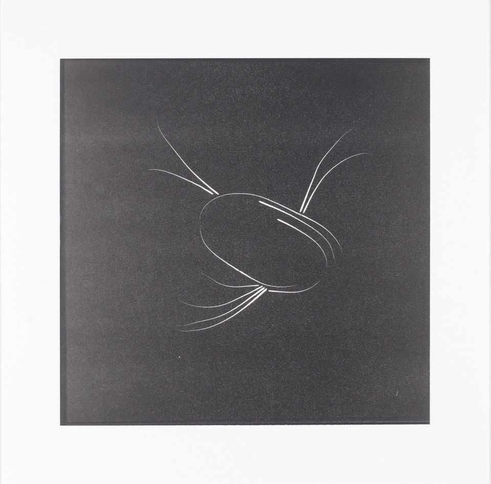 Image of an abstract drawing made with lines resembling cat whiskers in white with a dark gray background