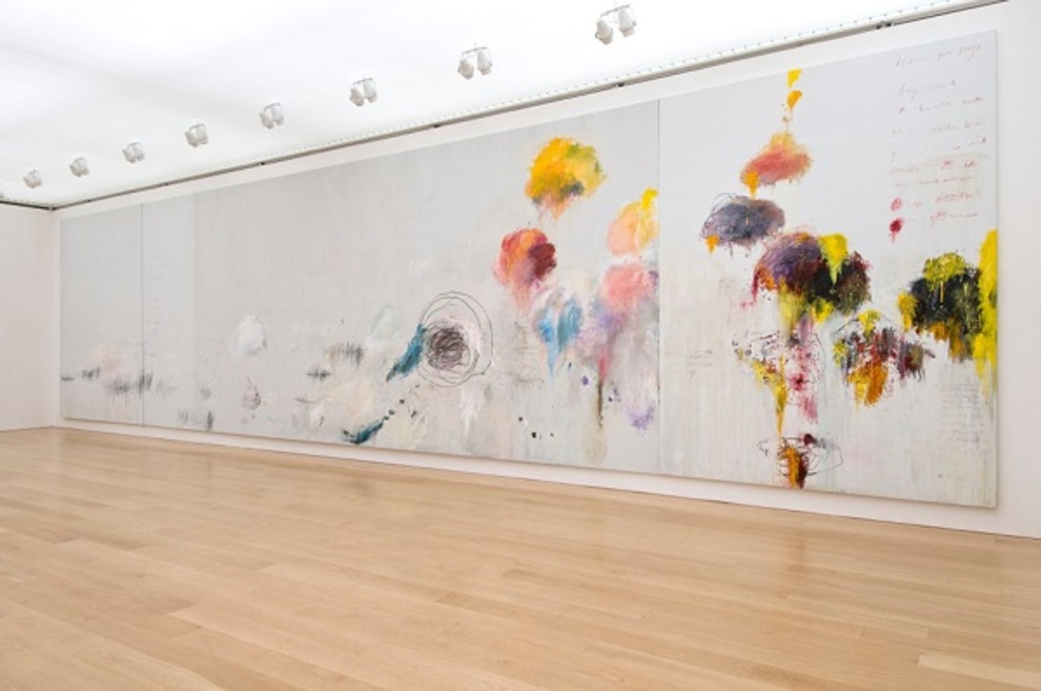 Members Noontime Talk on Cy Twombly at the Menil The