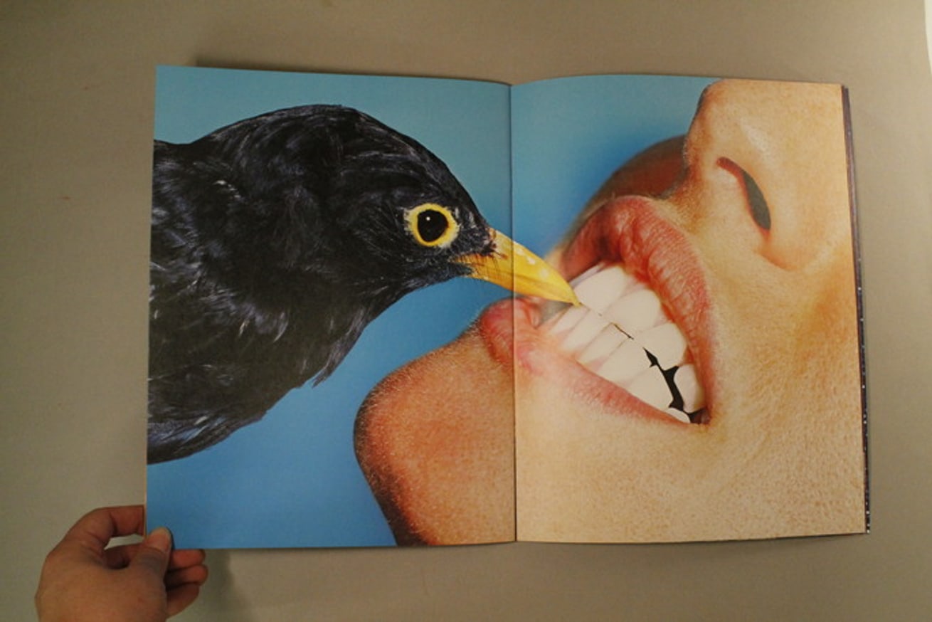 Toilet Paper thumbnail 2