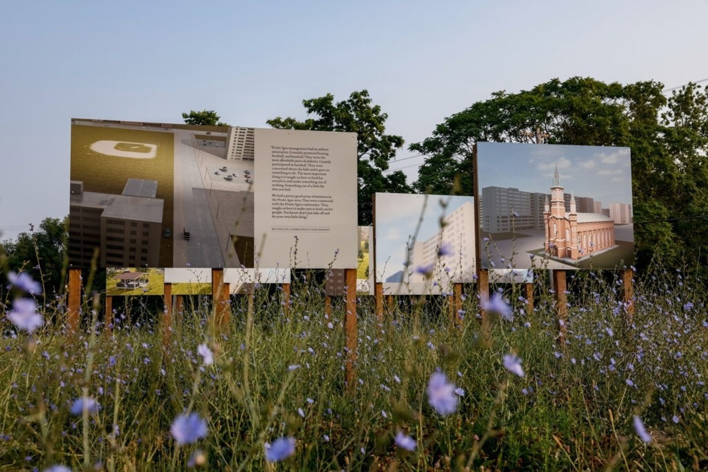 Image of billboards as part of an art installation in a field of flowers