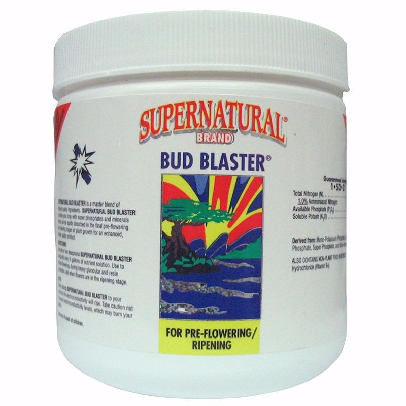 Photo of BUD BLASTER® 1-52-31