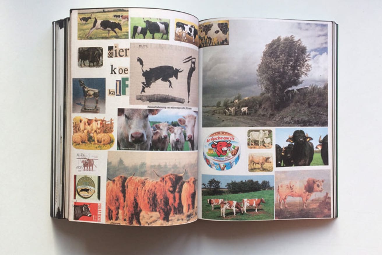 Animal Books For Jaap Zeno Anna Julian Luca thumbnail 3