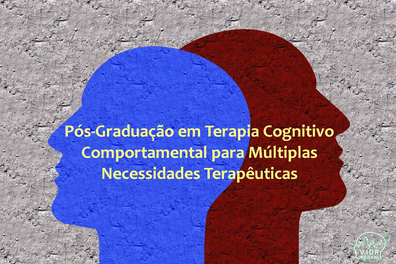 Terapia Cognitivo-Comportamental Para Atuação Em Múltiplas Necessidades Terapêuticas - Goiânia