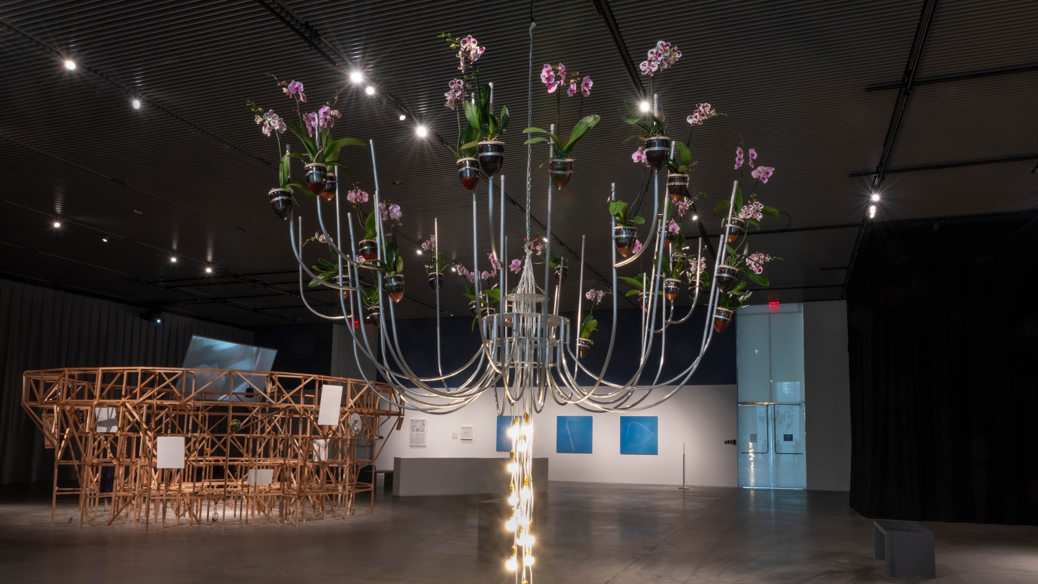 A chandelier-like sculpture hanging from the ceiling of an art gallery. The sculpture is made of thin, bent aluminum tubes. At the end of each tube is a ceramic vessel containing a purple orchid. LED light bulbs hang in a string down from the center of the sculpture to the floor. 