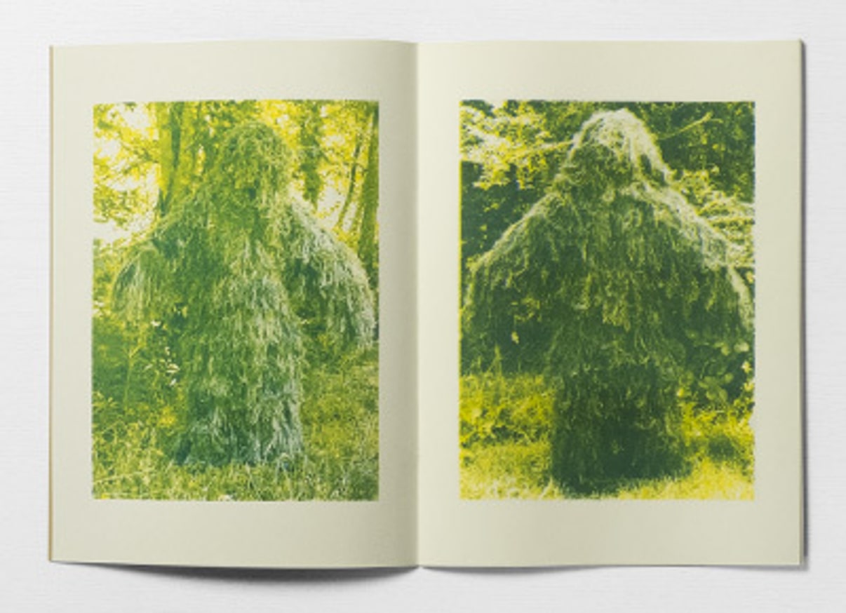 20 Walking Bushes thumbnail 3