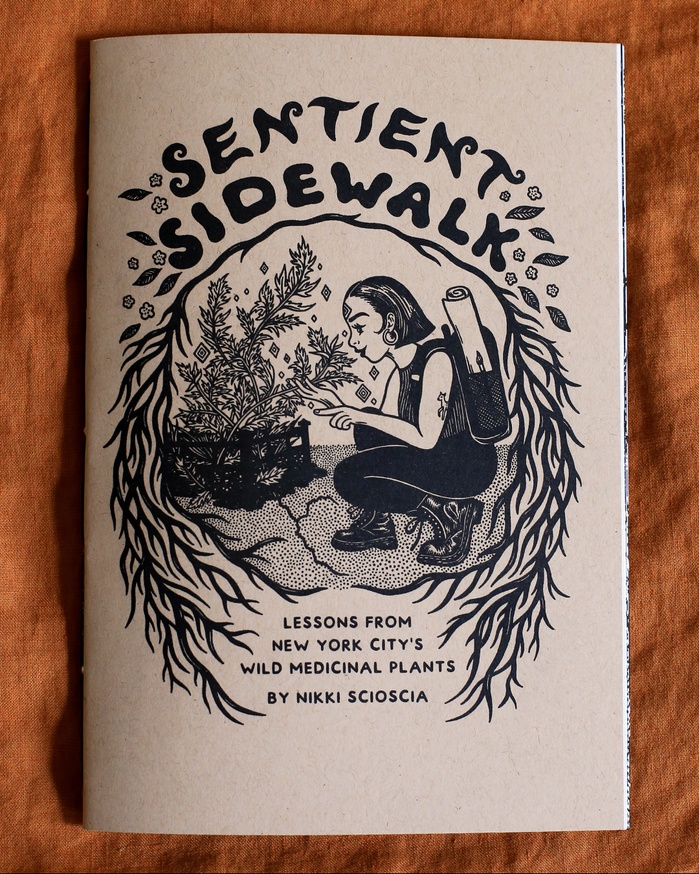  Sentient Sidewalk: Lessons From New York City's Wild Medicinal Plants thumbnail 4