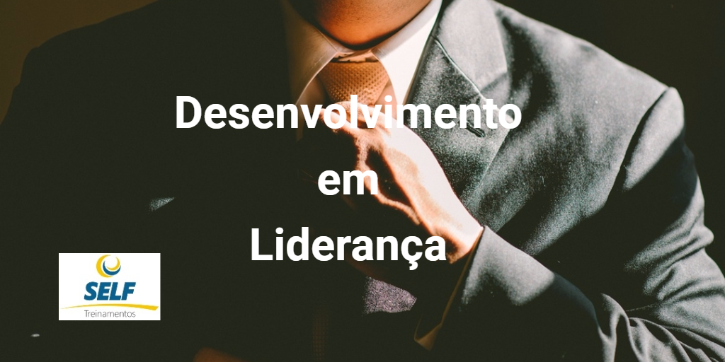 Curso Desenvolvimento em Liderança