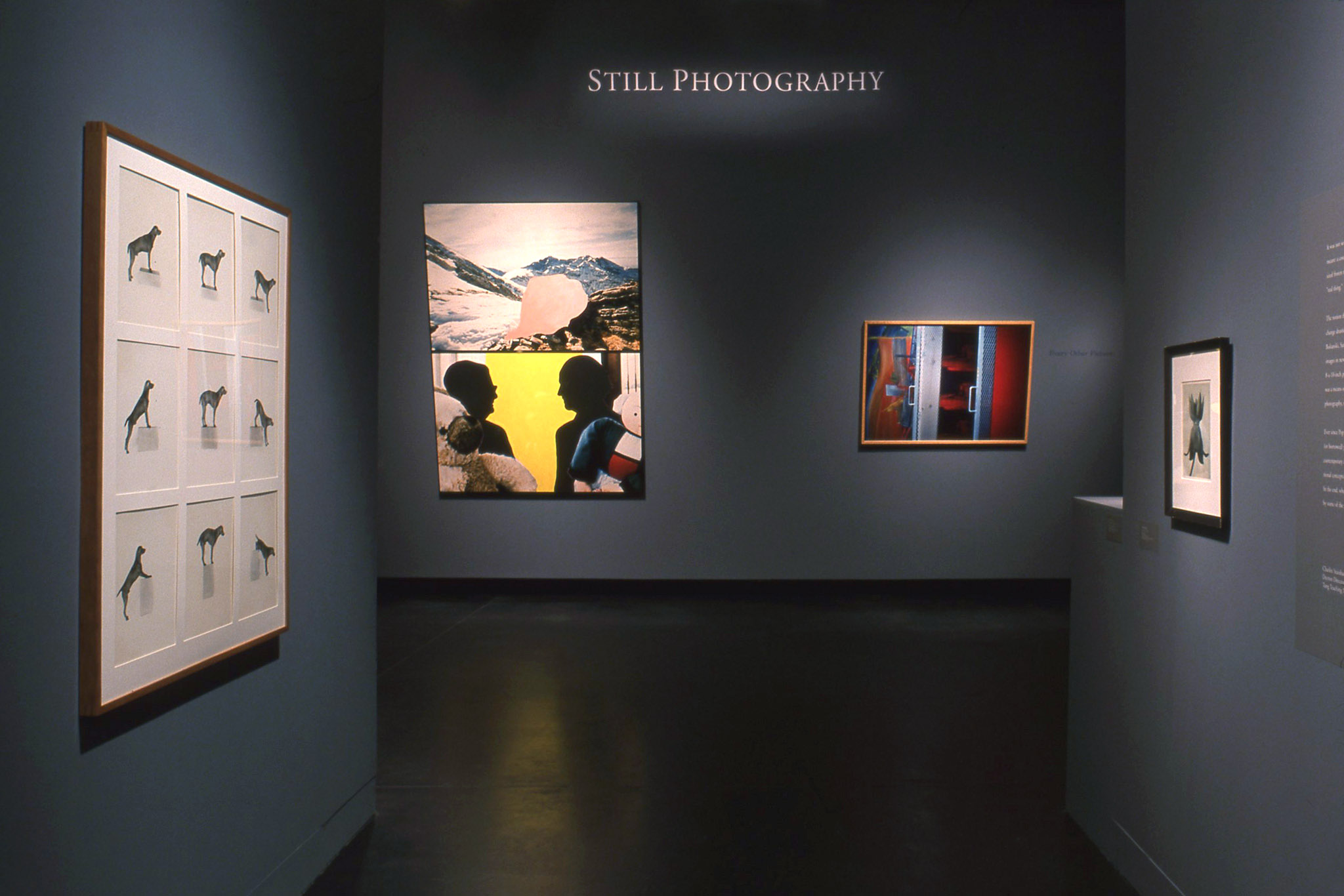 Still Photography - Tang Teaching Museum