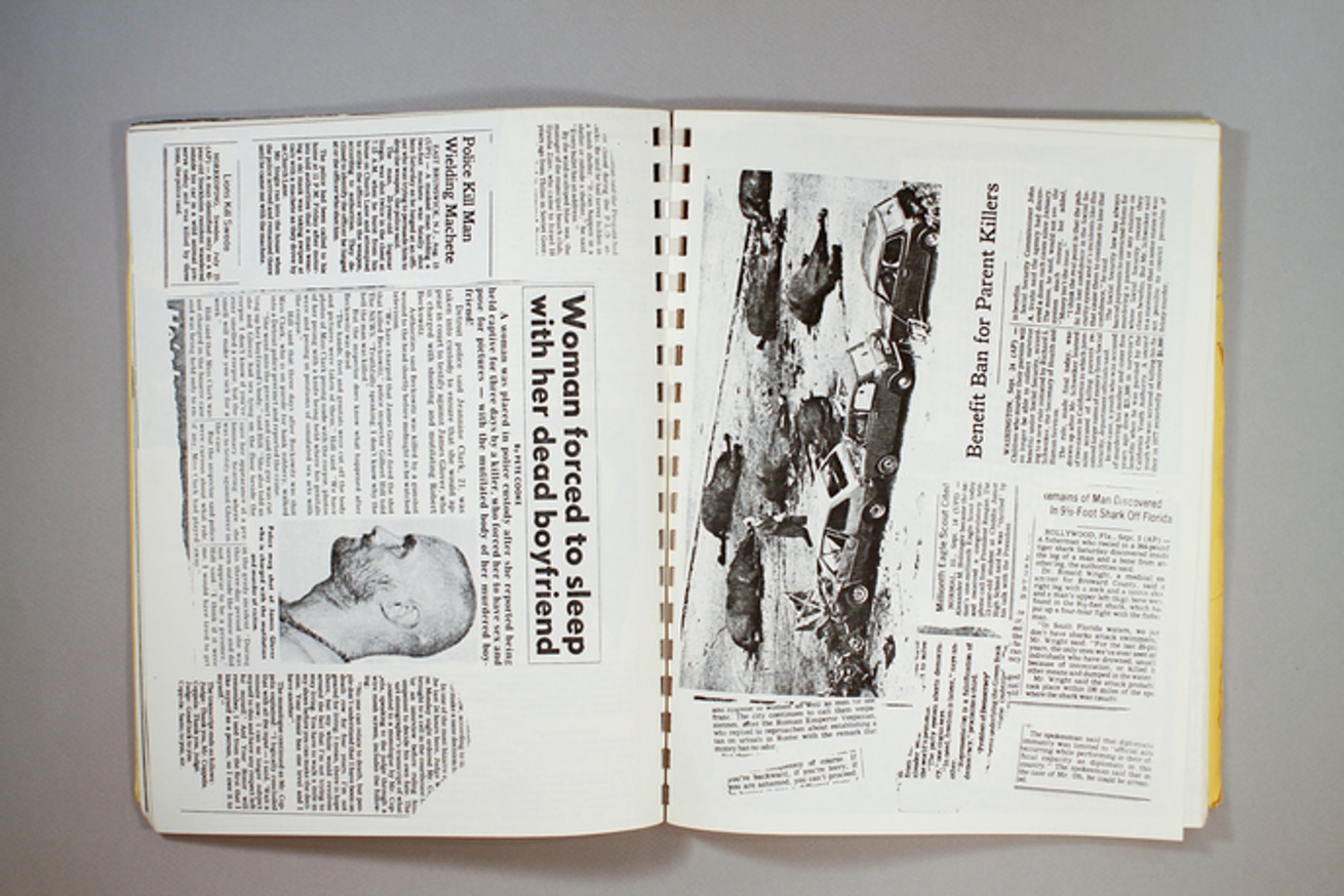 Joy's Gaze thumbnail 3