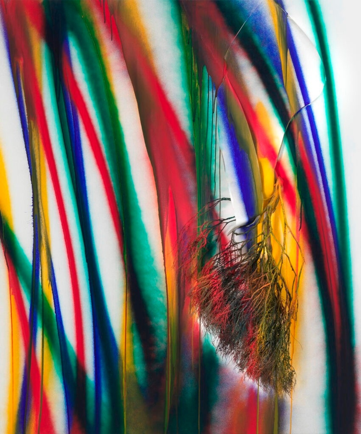 Multicolor abstract acrylic painting with a branch