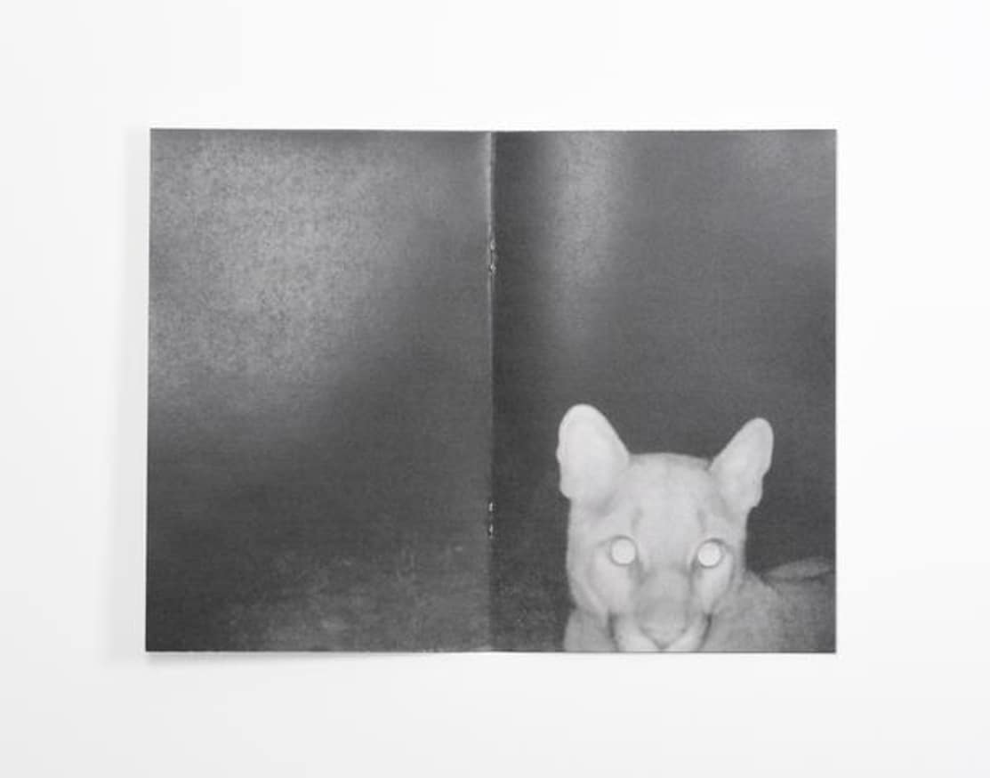 Night Moves thumbnail 3