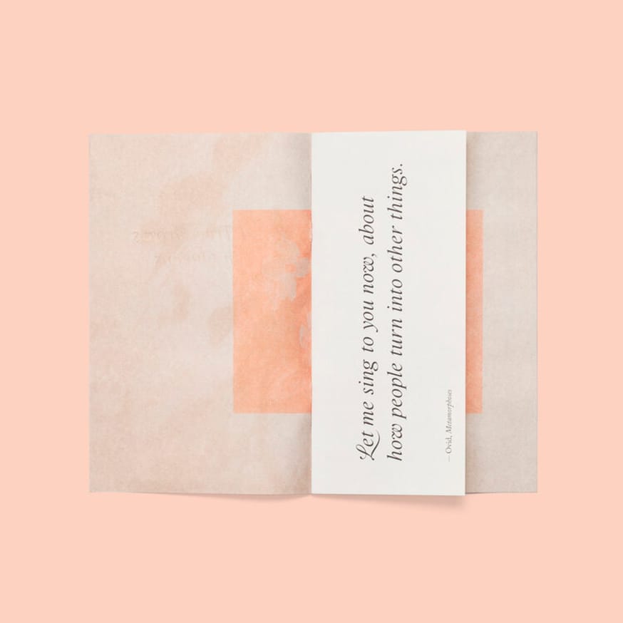 Pink Dogwood thumbnail 2