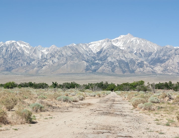 desert with mountains and blue sky in the background