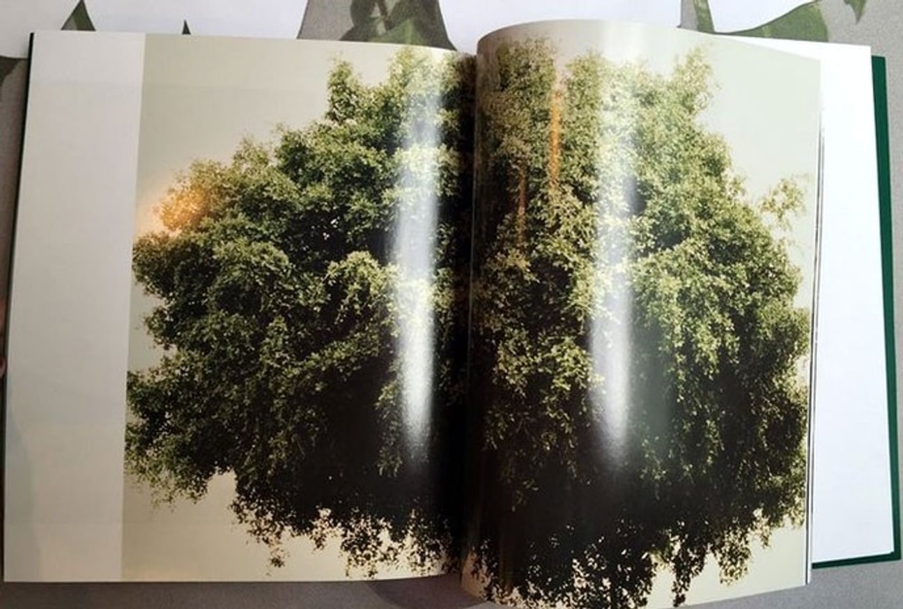 Jason Nocito & Daniel Shea thumbnail 3