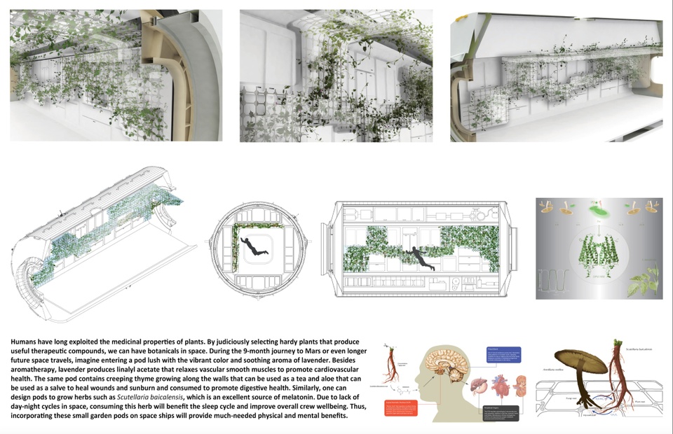 Multi-panel renderings of the interior of a "space pod" indicating how plants like lavender, creeping thyme, and aloe could be grown inside the unit.