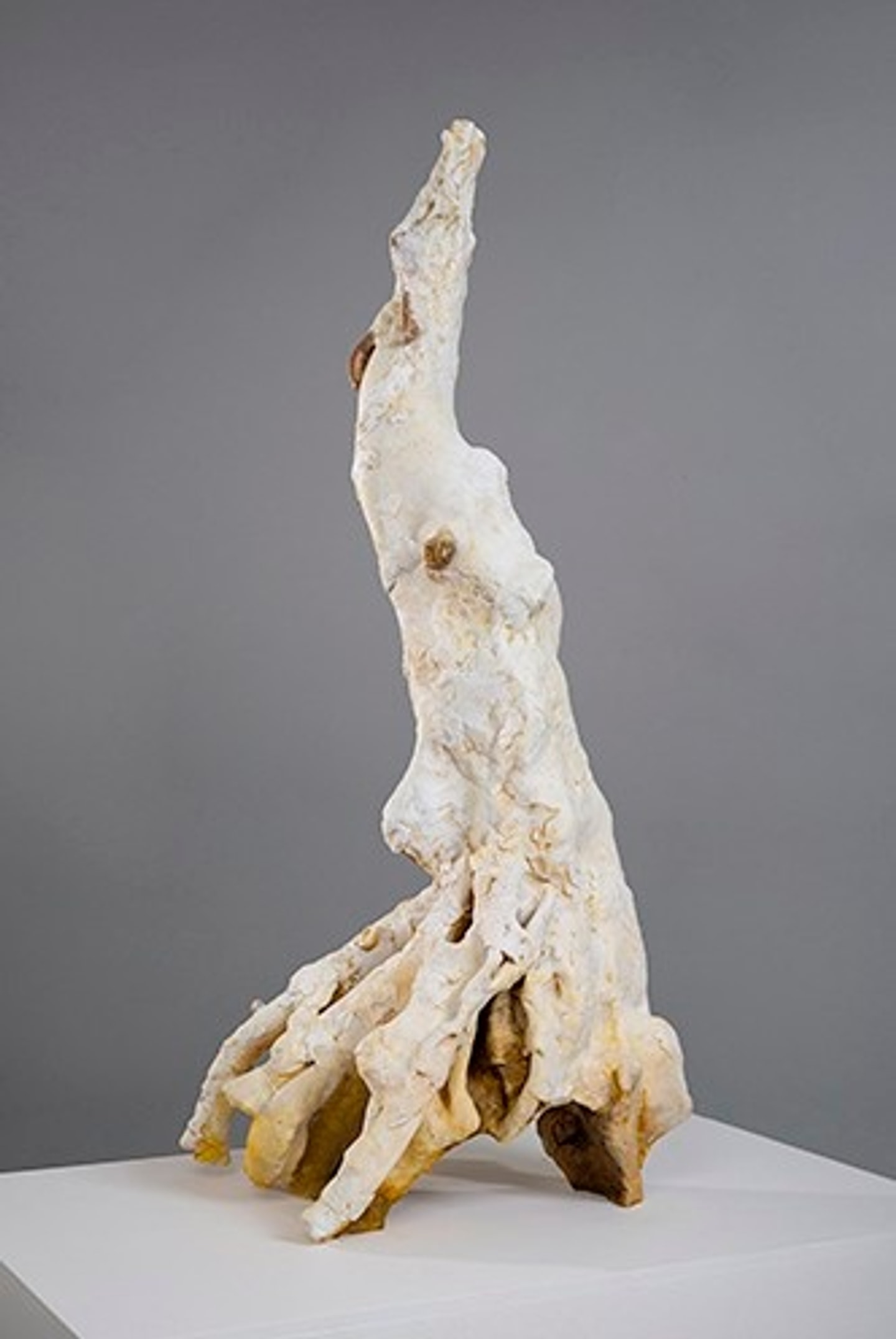 An abstract ceramic sculpture by Arny Nadler with a pale, reaching vertical column rising from a sprawling, root-like base on a white pedestal against a grey background.
