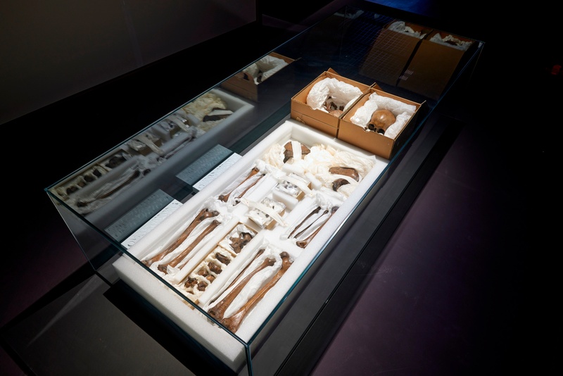 A photograph of ancient human remains on display at Gwangju National Museum.  A skull and bones from legs, arms, and feet are delicately displayed among white fabrics in a glass case.