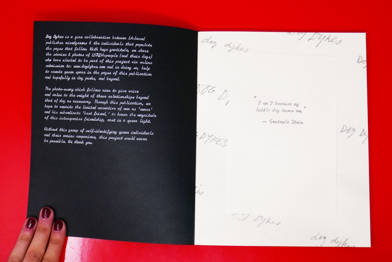 Dog Dykes thumbnail 2