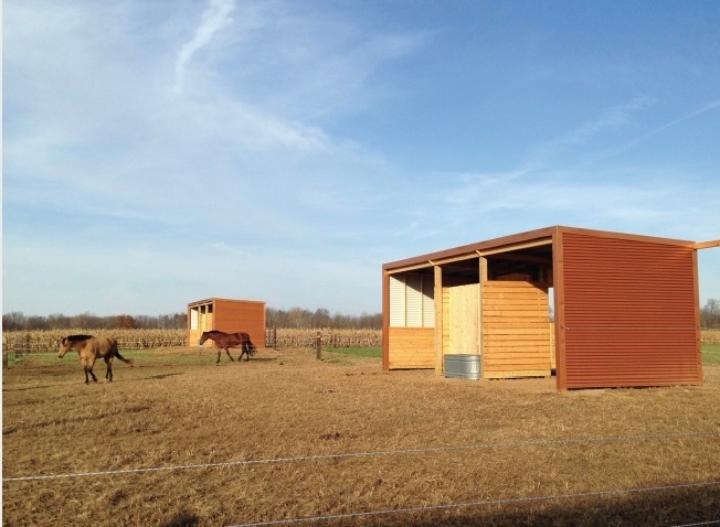 view of barn on open plain with horse and blue skies 