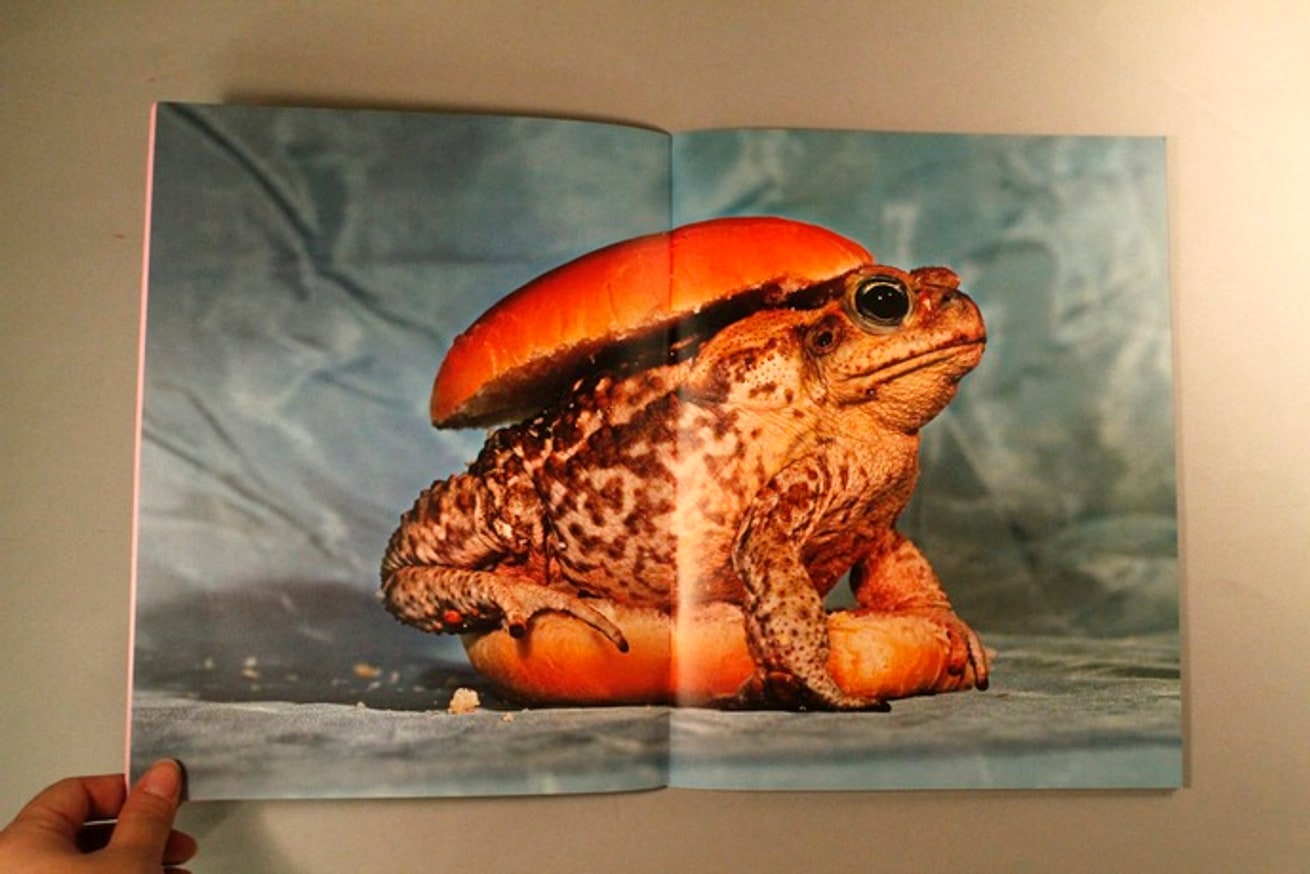 Toilet Paper thumbnail 10