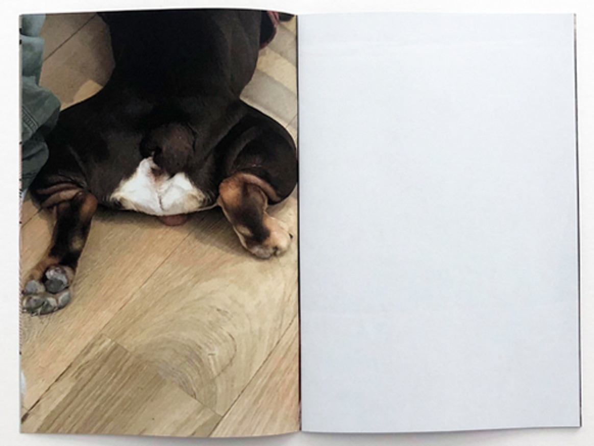 Dicks, Dogs, Rats, Men and Me thumbnail 3