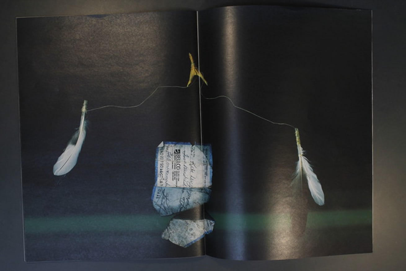 Neosurvivalism (Visitor) thumbnail 5