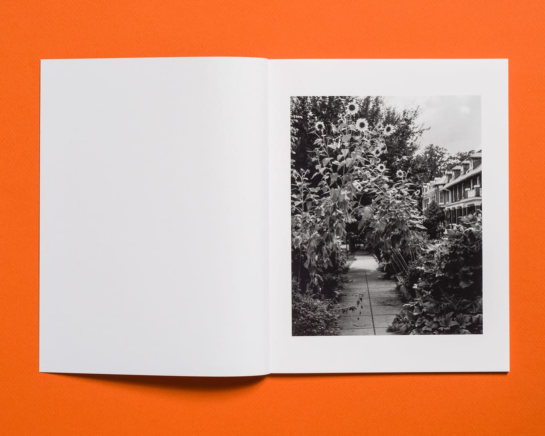 LOST, Washington D.C. thumbnail 2