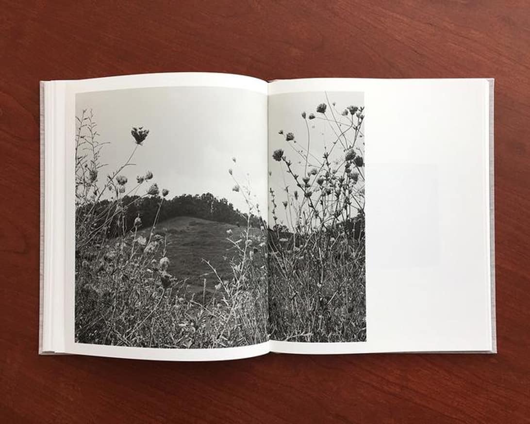 One Sun, One Shadow thumbnail 2