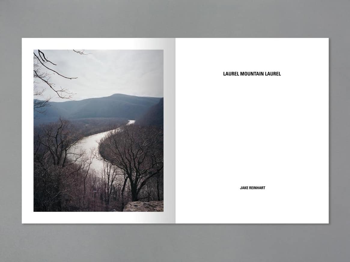 Laurel Mountain Laurel thumbnail 3