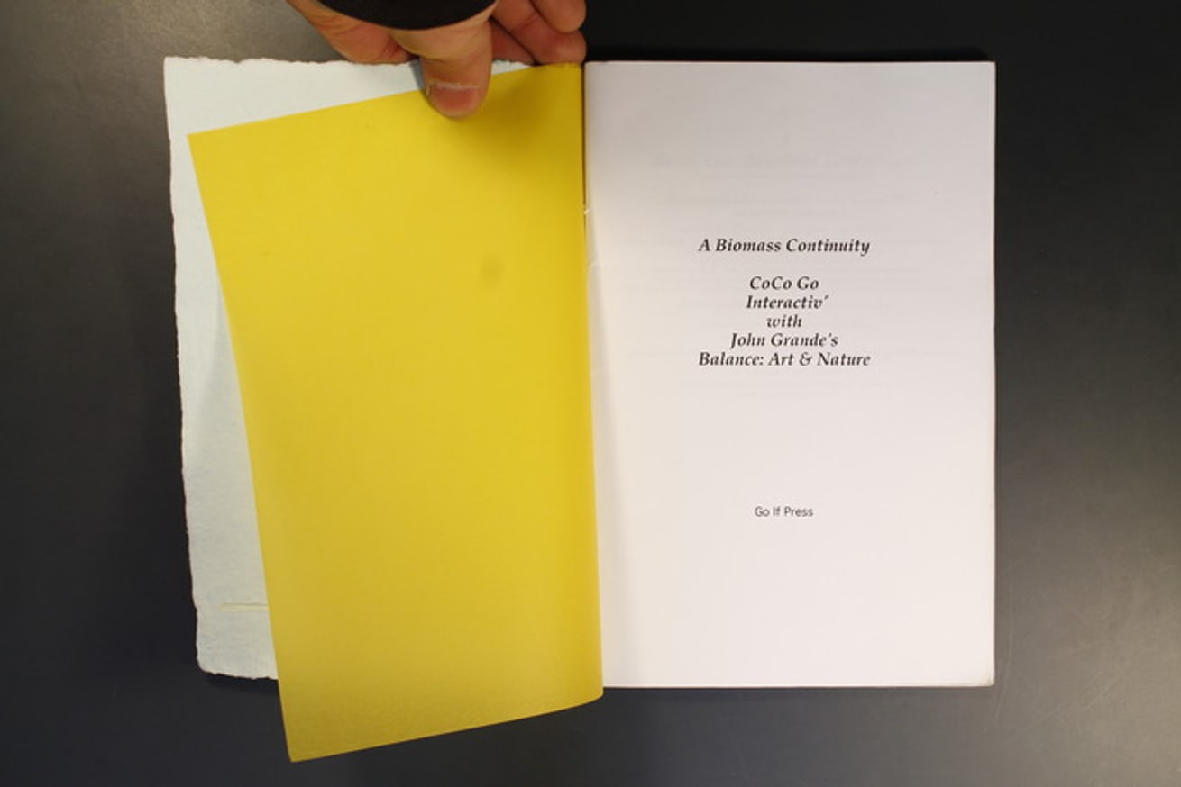 A Biomass Continuity : Coco Go Interactiv' with John Grande's Balance : Art & Nature thumbnail 3