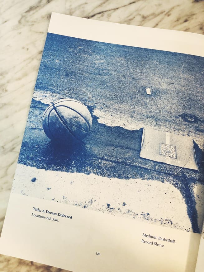 Venice Wildlife thumbnail 4