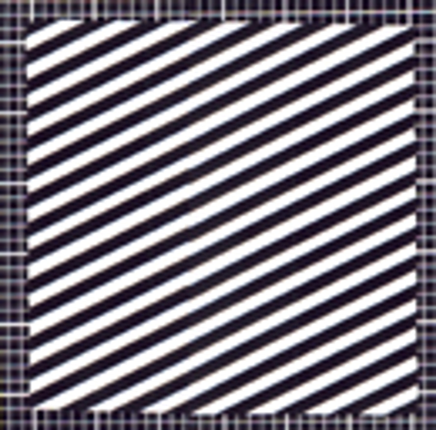 Circuit 4: Undercover [Unsigned]