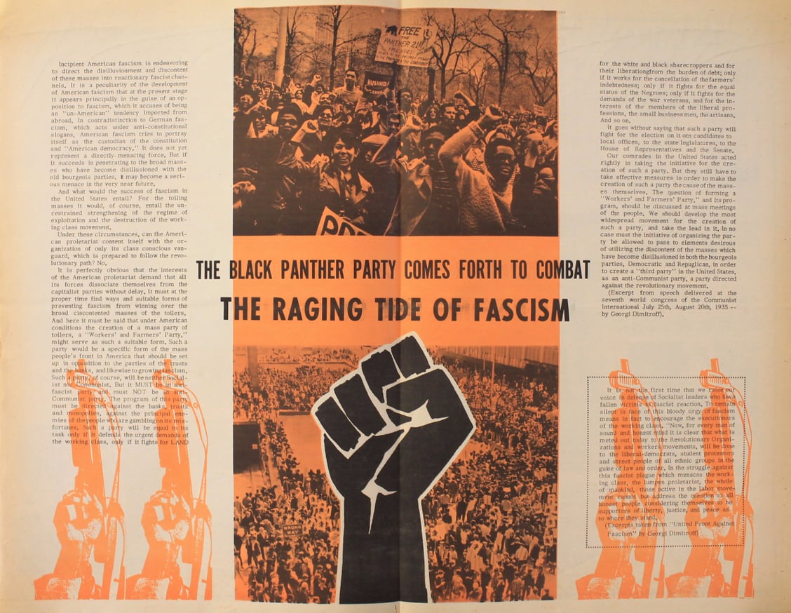 The Black Panther thumbnail 4